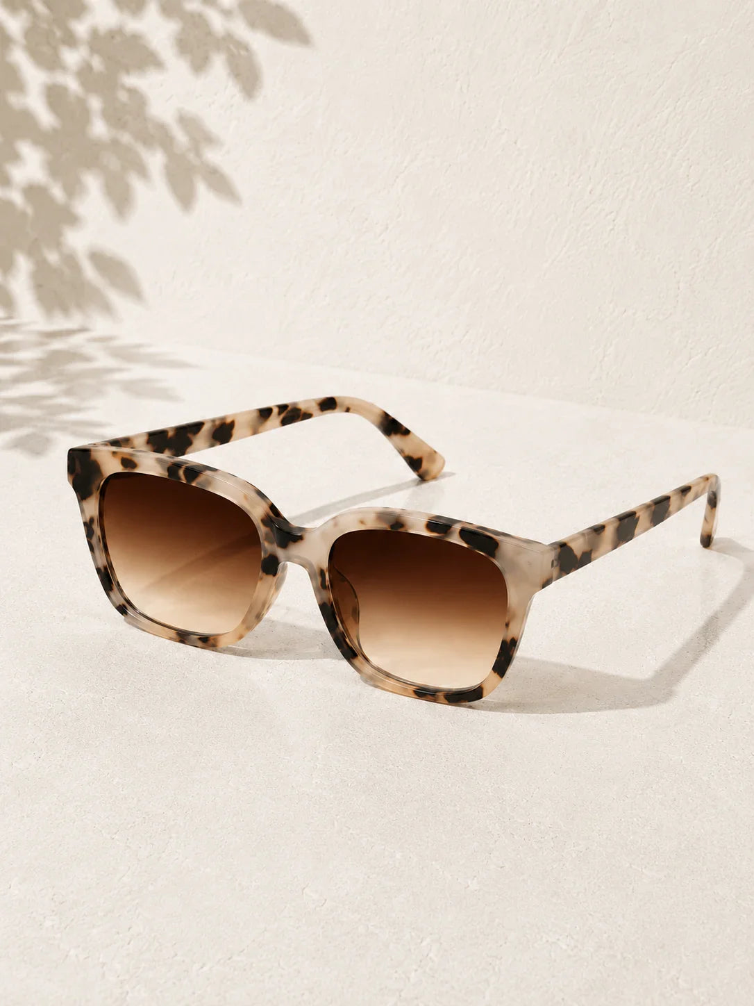 Bry Sunglasses